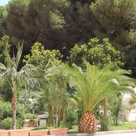Mirasole International Gaeta