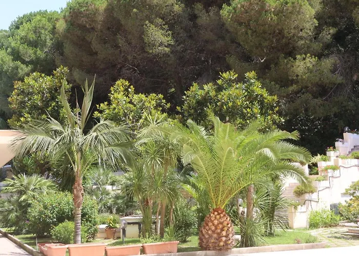 Mirasole International Gaeta