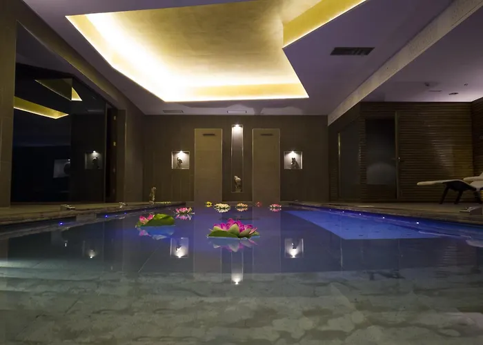 Mirasole International