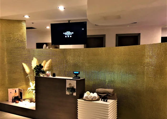 Mirasole International Hotel